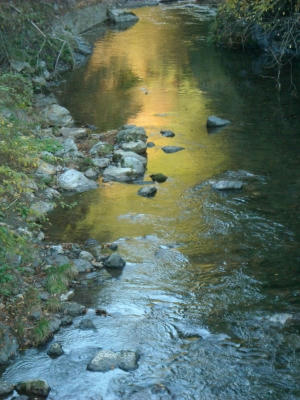 DSCN5115.jpg