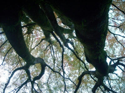 DSCN5125.jpg