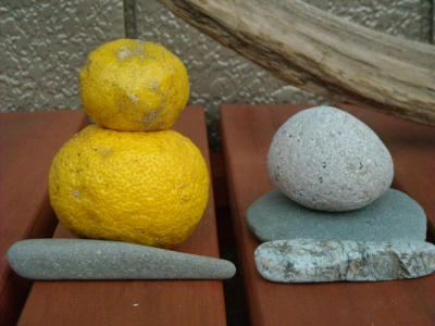 DSCN5155.jpg