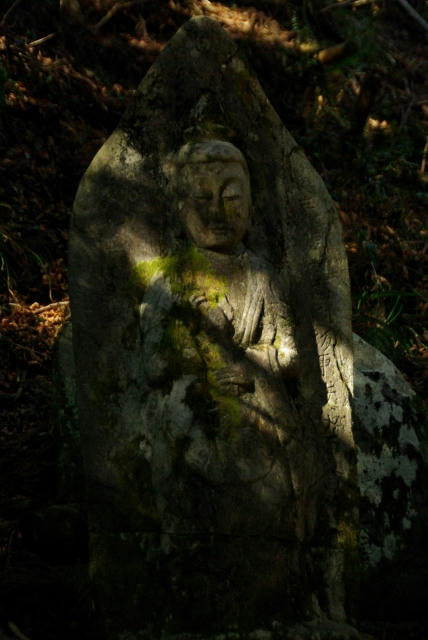 IMGP1342.jpg