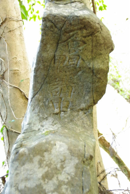 IMGP1900.jpg