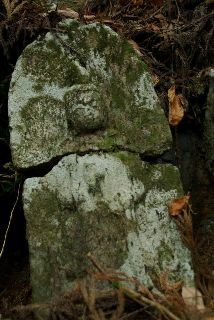 IMGP1906.jpg