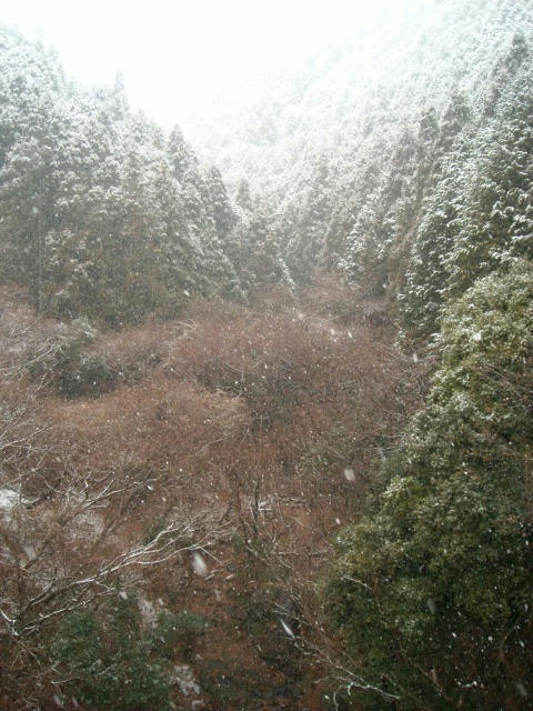 DSCN5469.jpg
