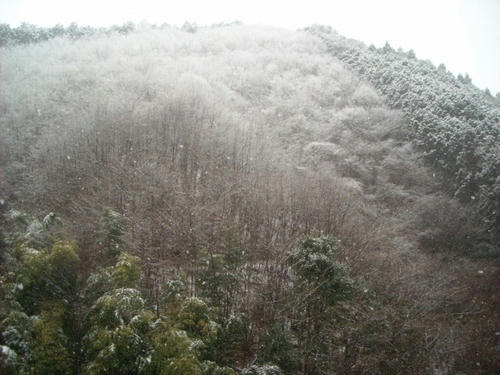 DSCN5470.jpg