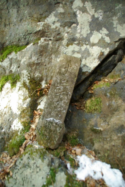 IMGP2566.jpg