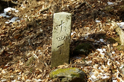 IMGP2574.jpg