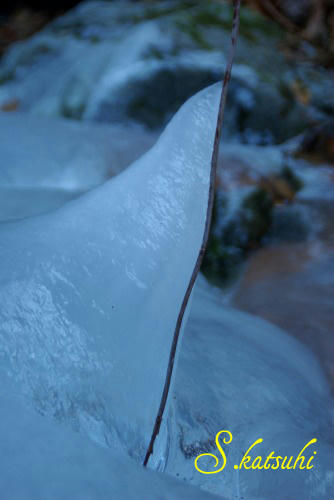 3a648b09.jpg