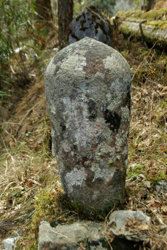 IMGP3751.jpg