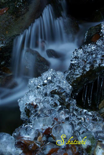 IMGP2759.jpg