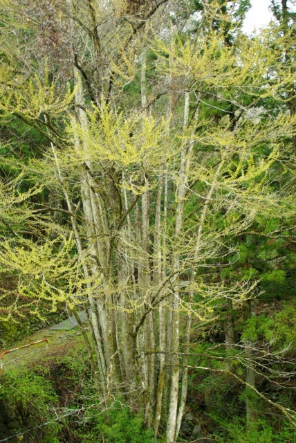 IMGP7158.jpg