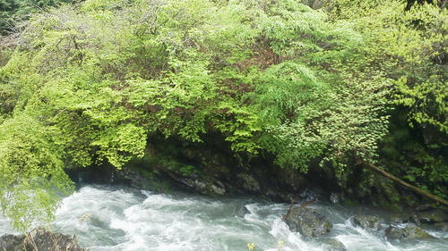 2012050409410000.jpg