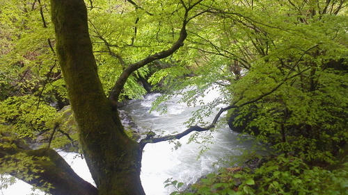 2012050409440000.jpg