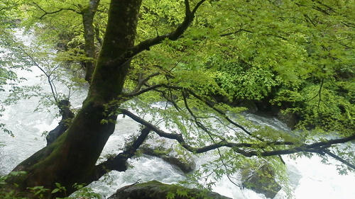 2012050409450000.jpg