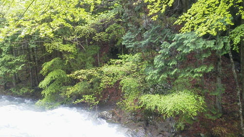 2012050409480001.jpg