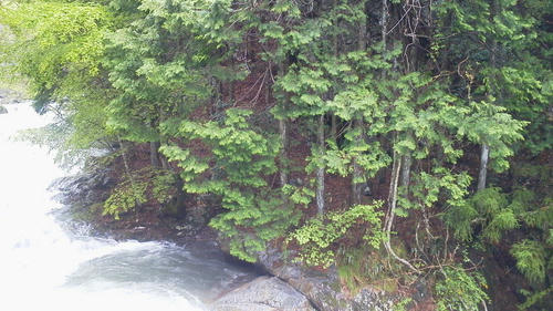 2012050409490001.jpg