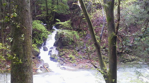 2012050409510001.jpg