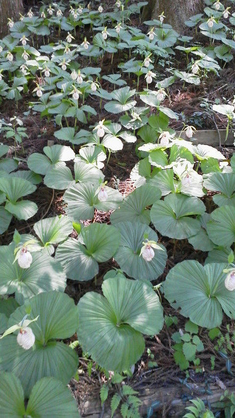 2012051310340000.jpg