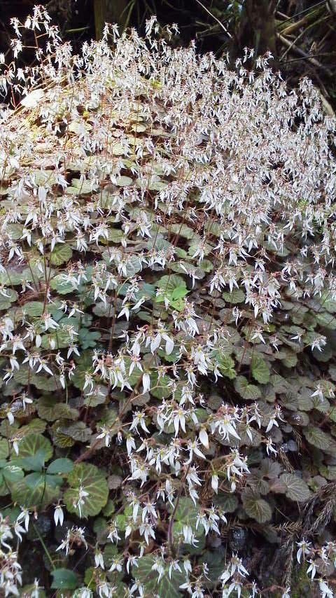 2012063013260000.jpg