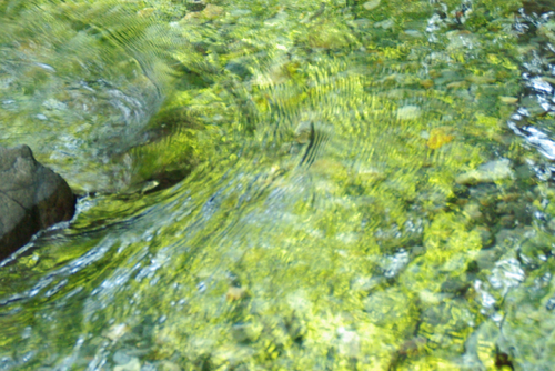 8334a4f4.png