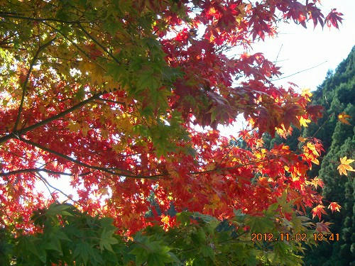 DSCN4715.jpg