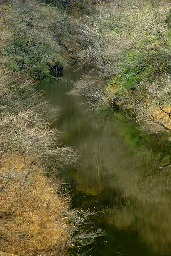 IMGP2110.jpg