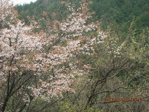 DSCN5597.jpg