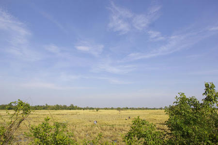 _IGP0993.JPG