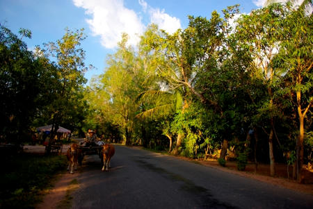 c937ba08.jpg