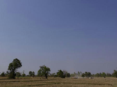 _IGP1619.JPG