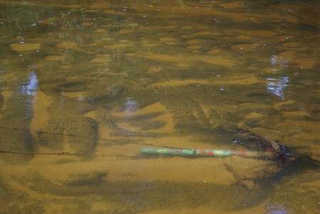_IGP2870.JPG