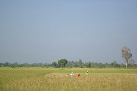 _IGP4549.JPG