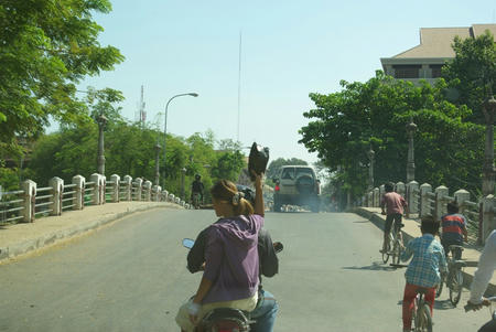_IGP4878.JPG