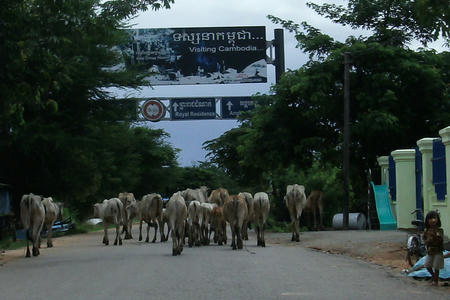 GEDC0060.JPG