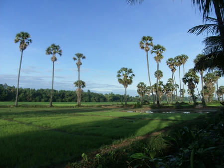 GEDC0145.JPG