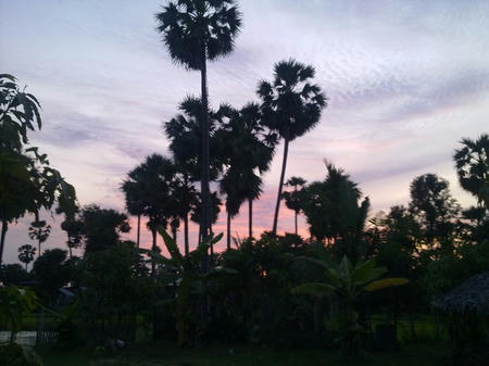 11072011150.jpg