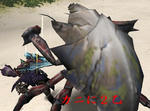 mhf_20090922_151000_718.jpg