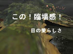mhf_20091006_231247_046.jpg