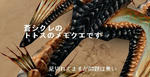 mhf_20091017_010739_062.jpg