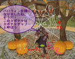 mhf_20091021_141435_031.jpg