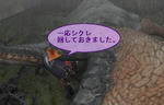 mhf_20091022_075750_968.jpg