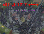 mhf_20091024_213454_031.jpg