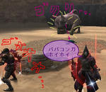 mhf_20091119_230150_109.jpg