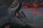 mhf_20091123_000233_500.jpg
