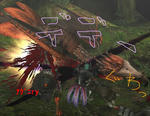 mhf_20091123_010746_812.jpg