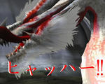 mhf_20091123_185351_109.jpg