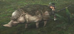 mhf_20091128_043002_765.jpg