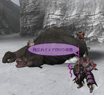 mhf_20100116_225737_203.jpg