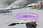 mhf_20100622_233945_860.jpg