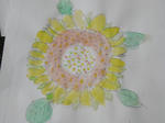 RIMG0042.jpg