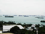 RIMG0129.jpg
